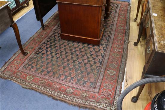 A Caucasian rug 262 x 147cm